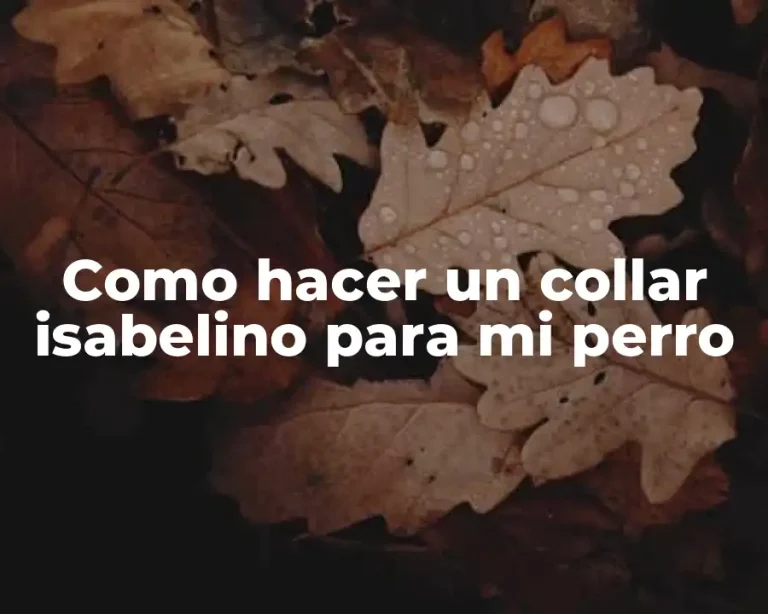 Como hacer un collar isabelino para mi perro