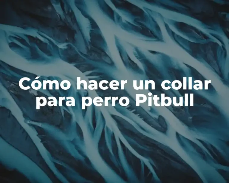Cómo hacer un collar para perro Pitbull
