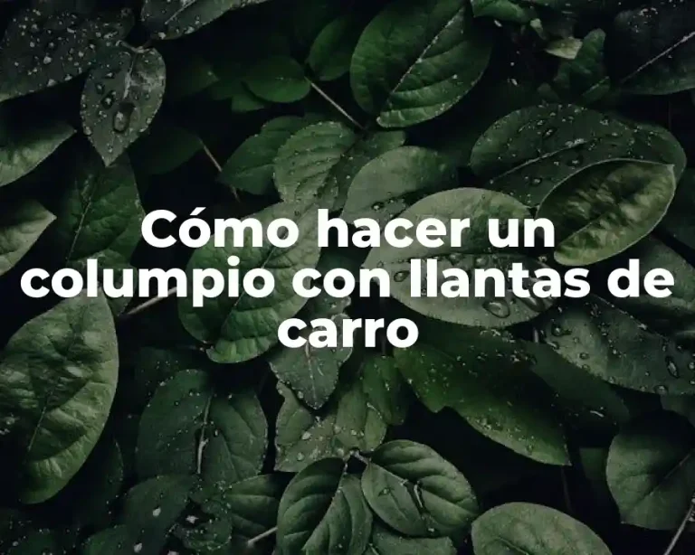 Cómo hacer un columpio con llantas de carro