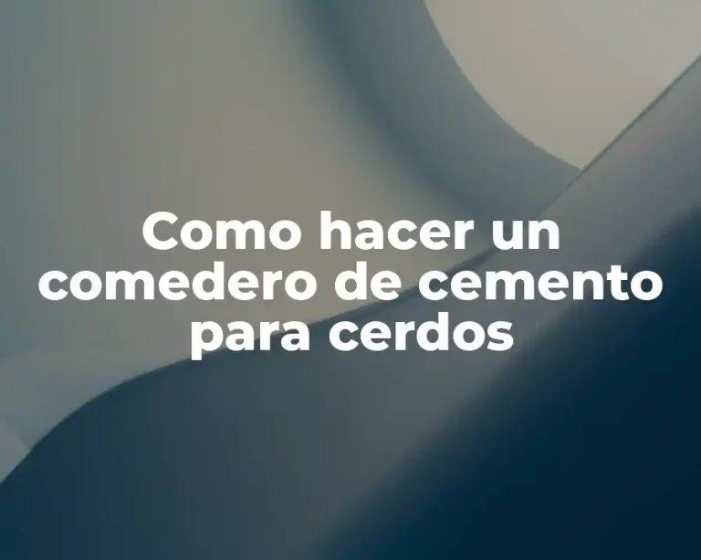 Como hacer un comedero de cemento para cerdos
