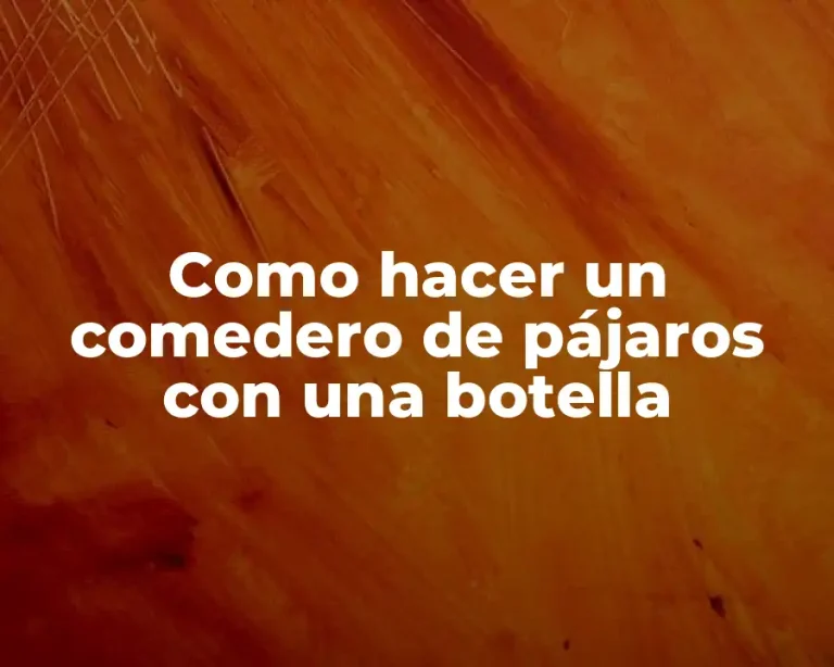 Como hacer un comedero de pájaros con una botella