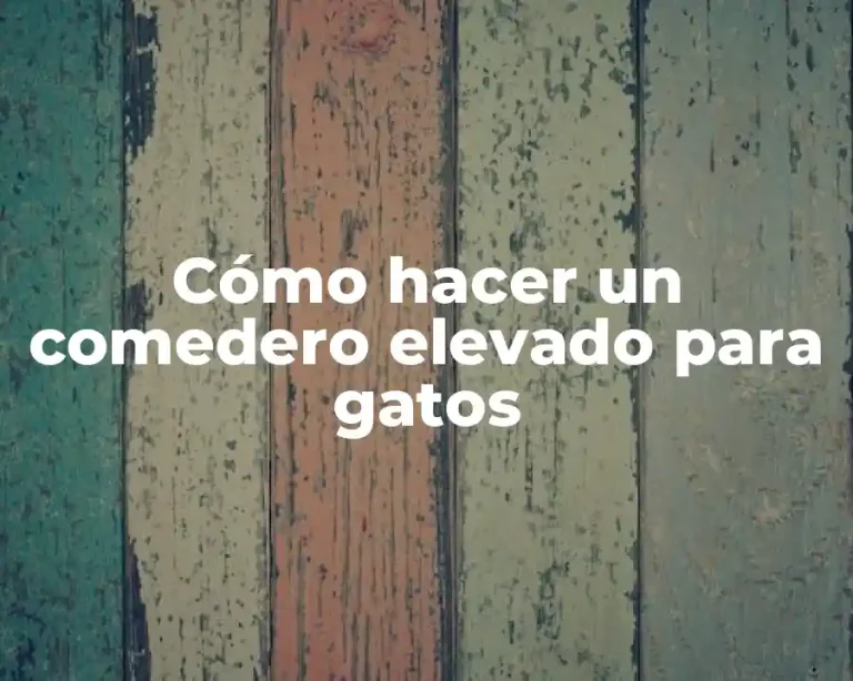 Cómo hacer un comedero elevado para gatos