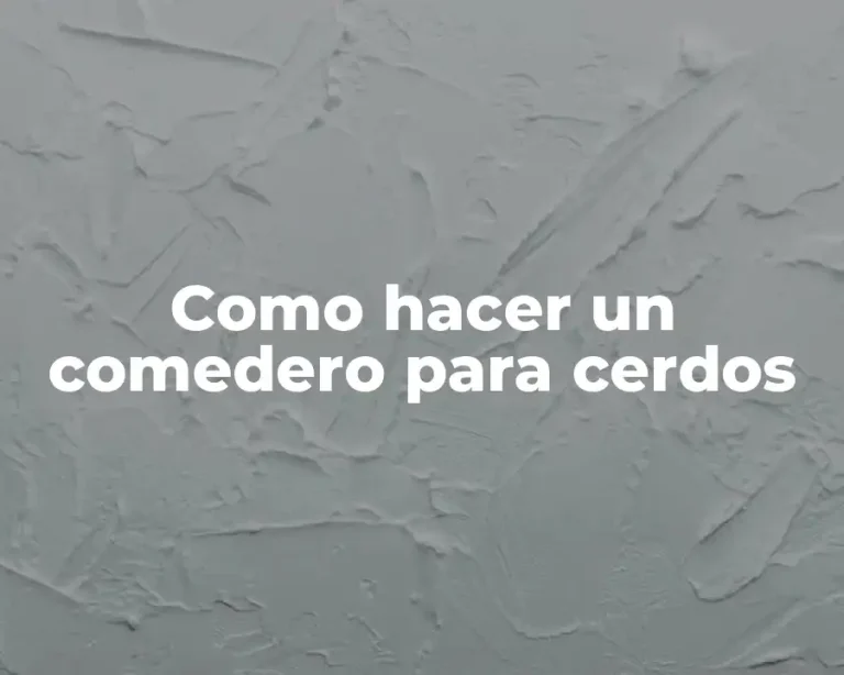 Como hacer un comedero para cerdos