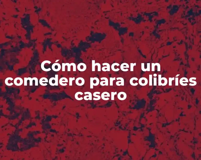 Cómo hacer un comedero para colibríes casero