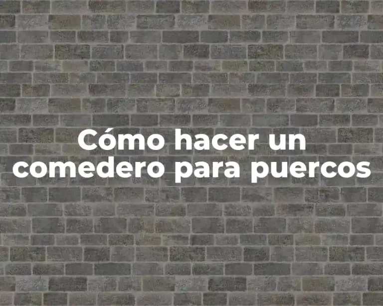 Cómo hacer un comedero para puercos