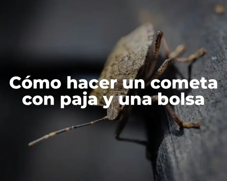 Cómo hacer un cometa con paja y una bolsa