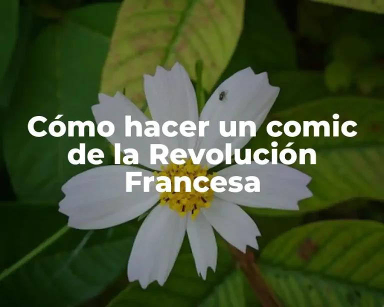 Cómo hacer un comic de la Revolución Francesa