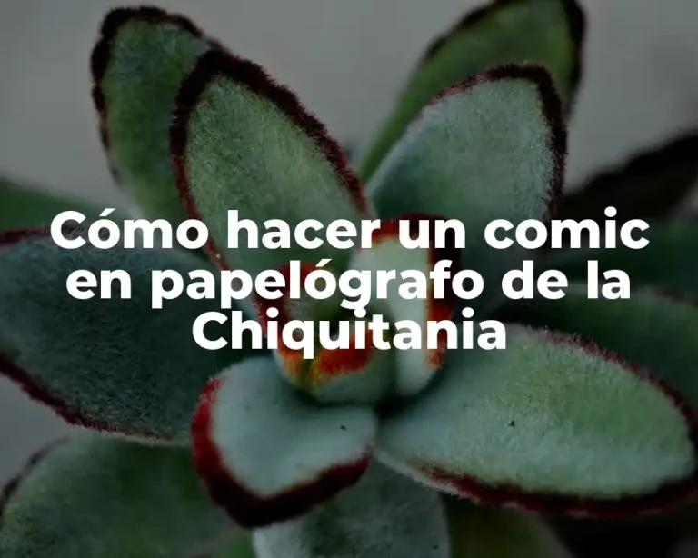 Cómo hacer un comic en papelógrafo de la Chiquitania