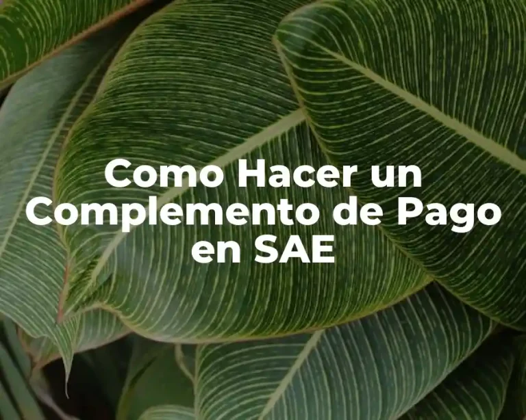 Como Hacer un Complemento de Pago en SAE