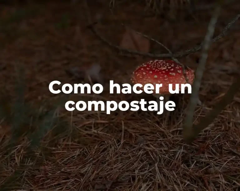 Como hacer un compostaje