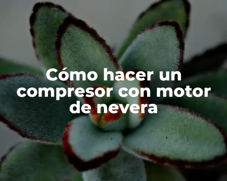 Cómo hacer un compresor con motor de nevera