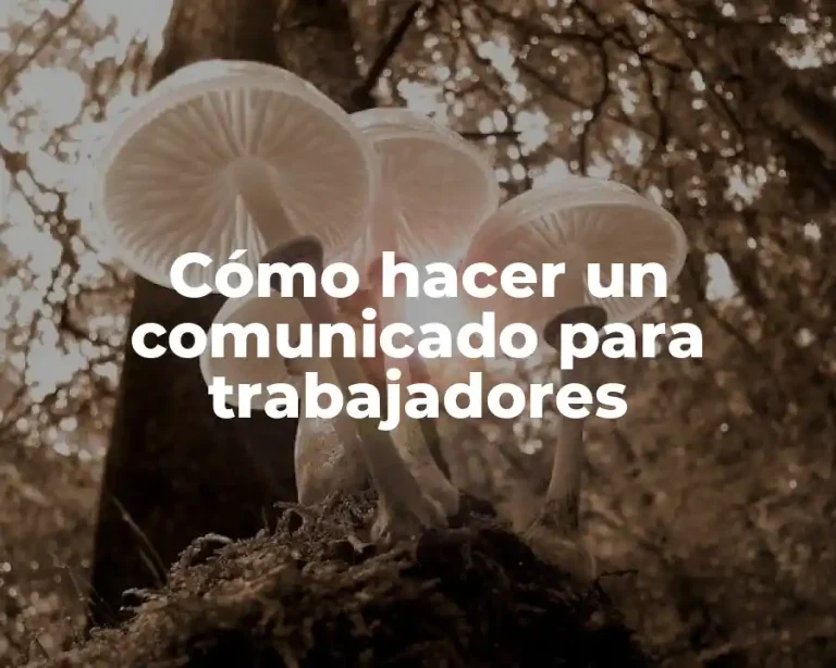 Cómo hacer un comunicado para trabajadores