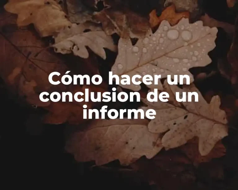 Cómo hacer un conclusion de un informe