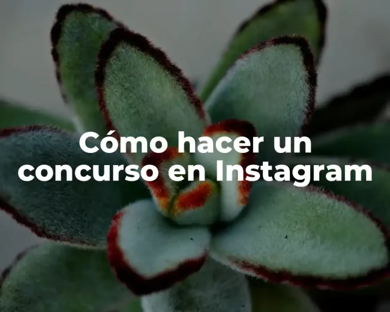 Cómo hacer un concurso en Instagram