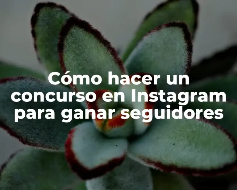Cómo hacer un concurso en Instagram para ganar seguidores
