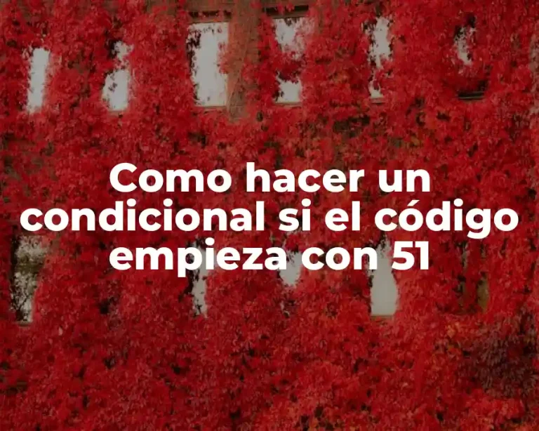 Como hacer un condicional si el código empieza con 51