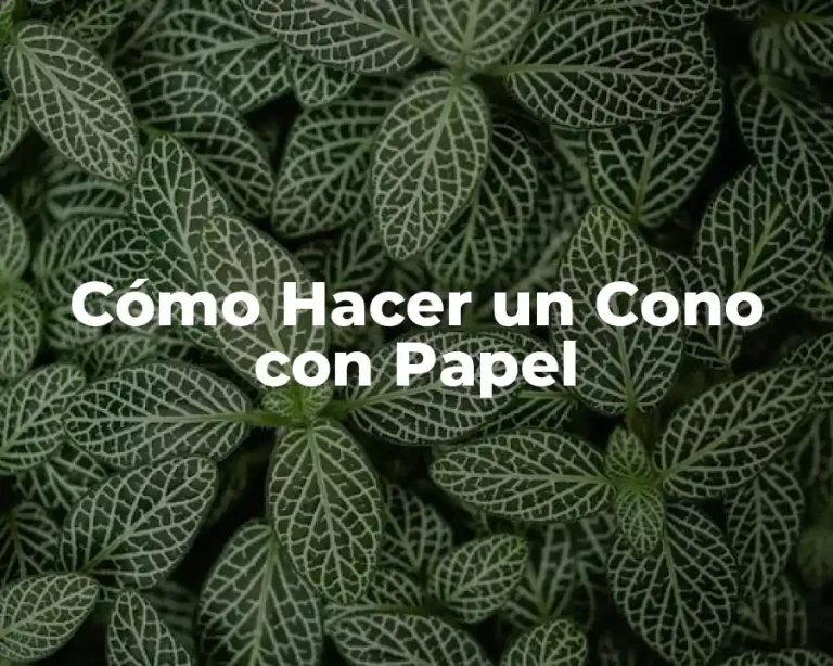 Cómo Hacer un Cono con Papel
