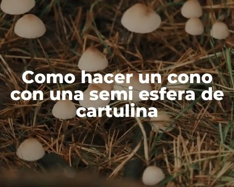 Como hacer un cono con una semi esfera de cartulina
