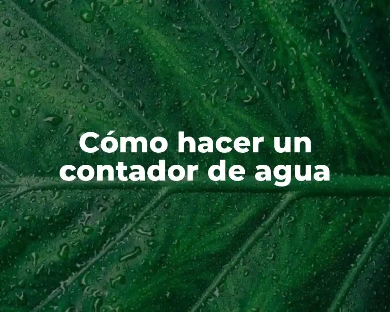 Cómo hacer un contador de agua