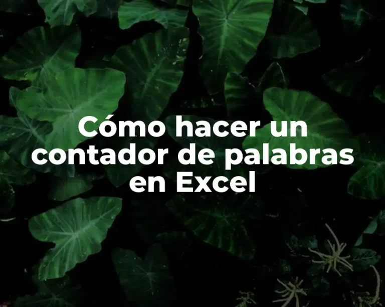 Cómo hacer un contador de palabras en Excel