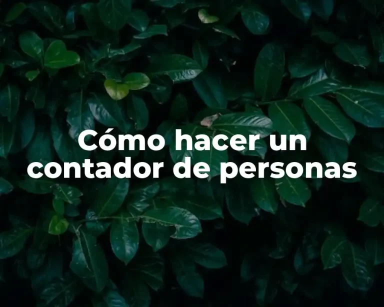 Cómo hacer un contador de personas