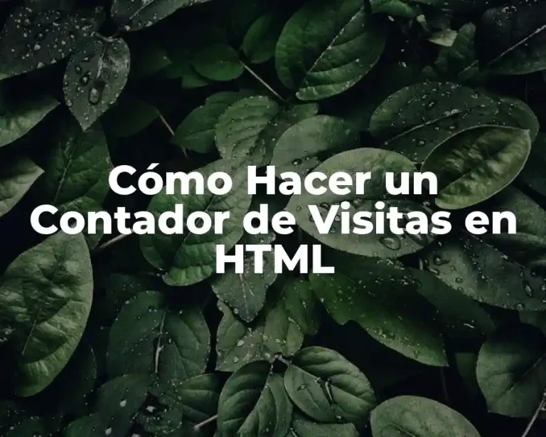 Cómo Hacer un Contador de Visitas en HTML