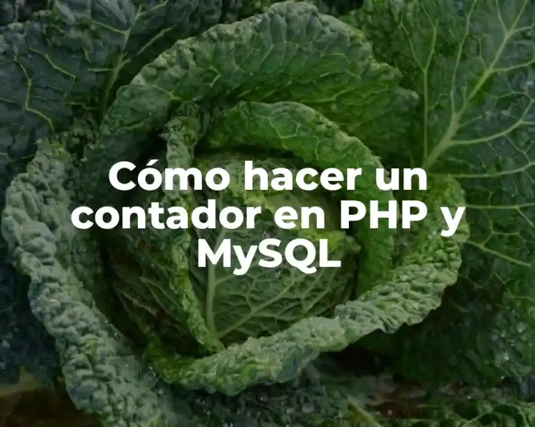 Cómo hacer un contador en PHP y MySQL