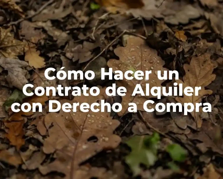Cómo Hacer un Contrato de Alquiler con Derecho a Compra