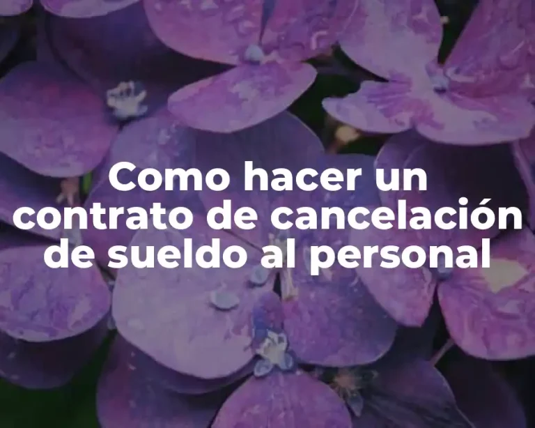 Como hacer un contrato de cancelación de sueldo al personal