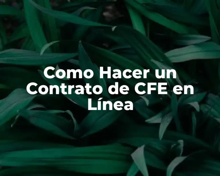 Como Hacer un Contrato de CFE en Línea