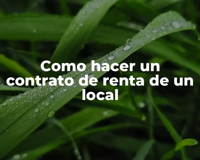 Como hacer un contrato de renta de un local