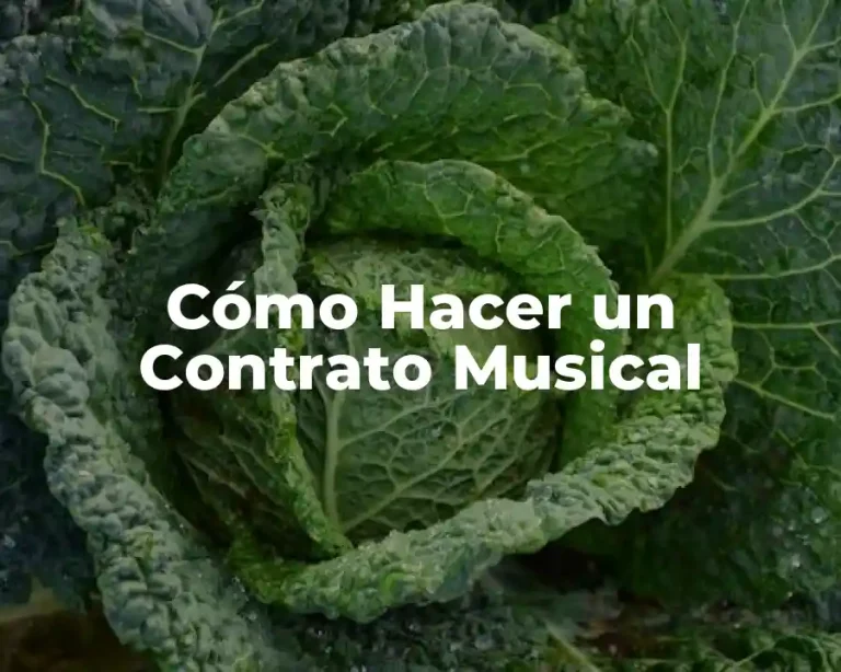 Cómo Hacer un Contrato Musical