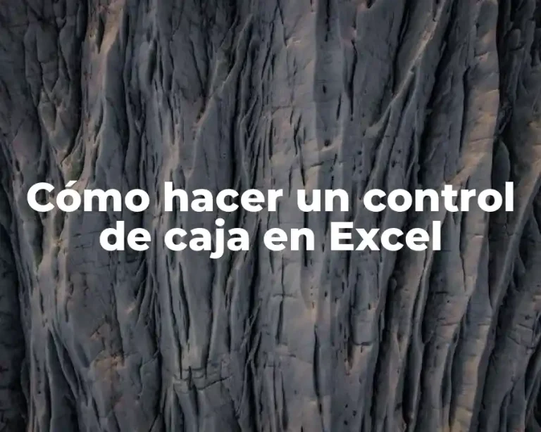Cómo hacer un control de caja en Excel