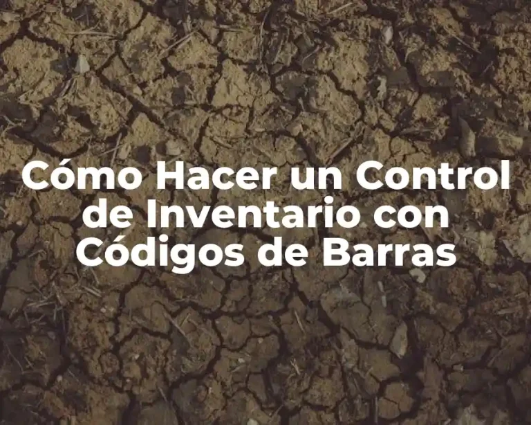 Cómo Hacer un Control de Inventario con Códigos de Barras