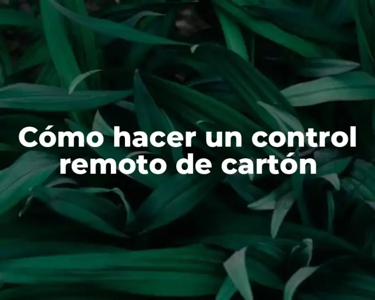 Cómo hacer un control remoto de cartón