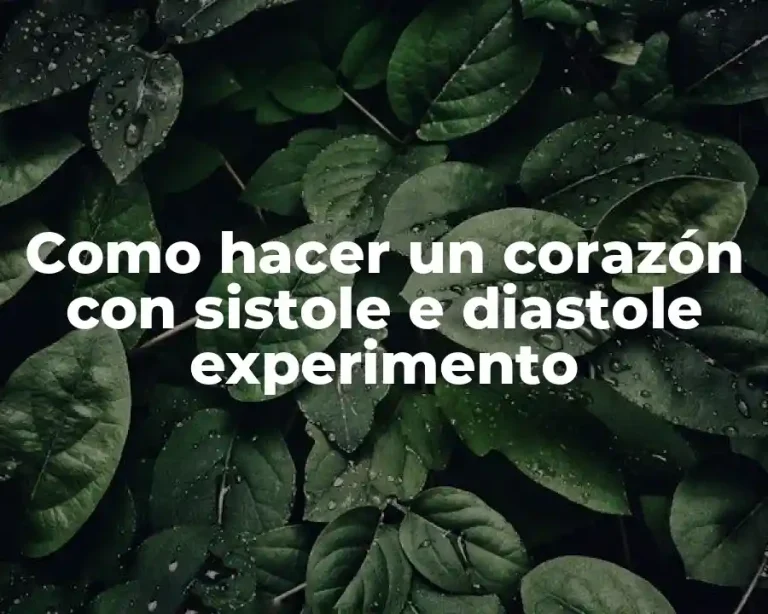 Como hacer un corazón con sistole e diastole experimento