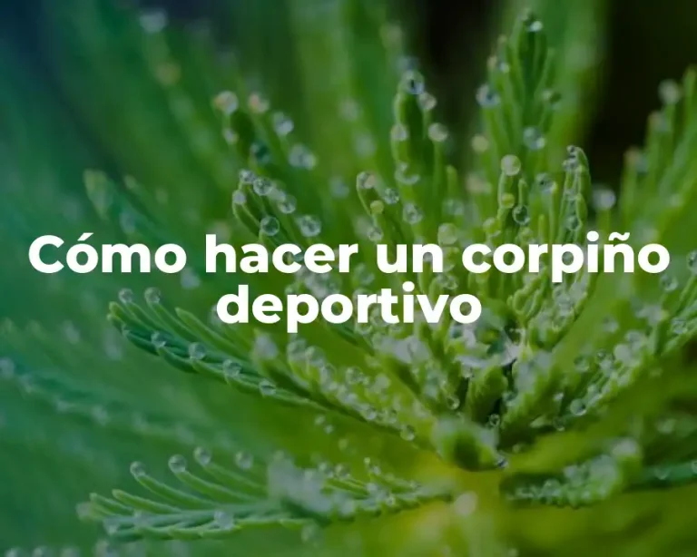 Cómo hacer un corpiño deportivo