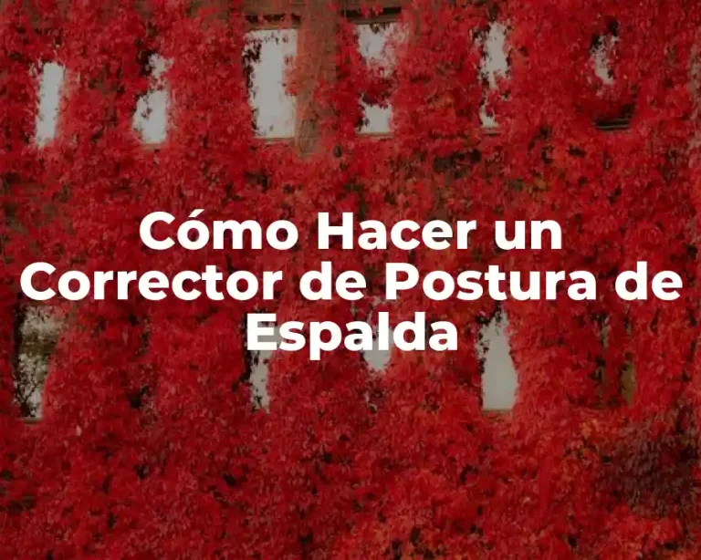 Cómo Hacer un Corrector de Postura de Espalda