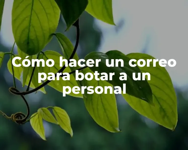 Cómo hacer un correo para botar a un personal