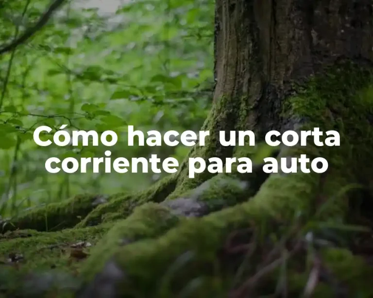Cómo hacer un corta corriente para auto