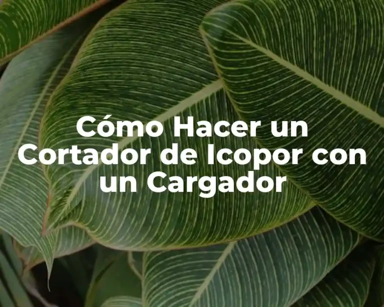Cómo Hacer un Cortador de Icopor con un Cargador