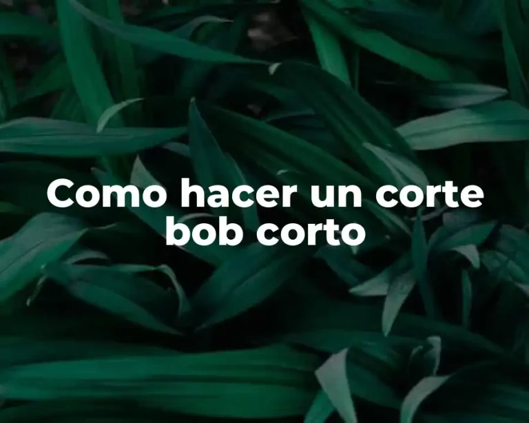 Como hacer un corte bob corto