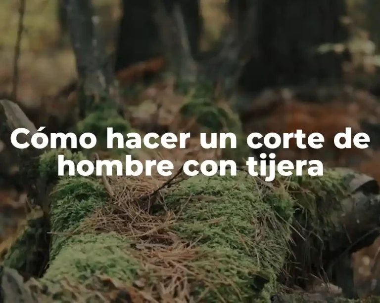 Cómo hacer un corte de hombre con tijera