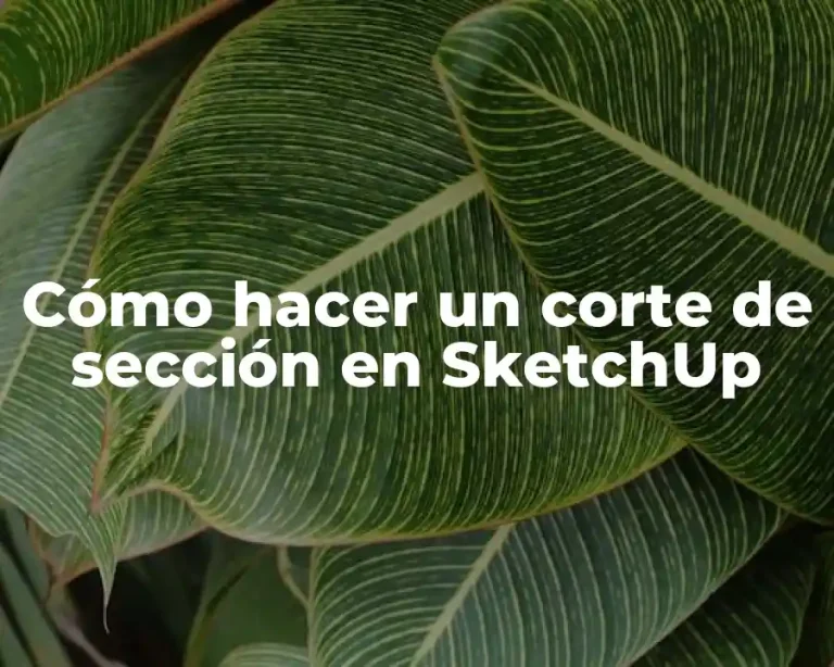 Cómo hacer un corte de sección en SketchUp
