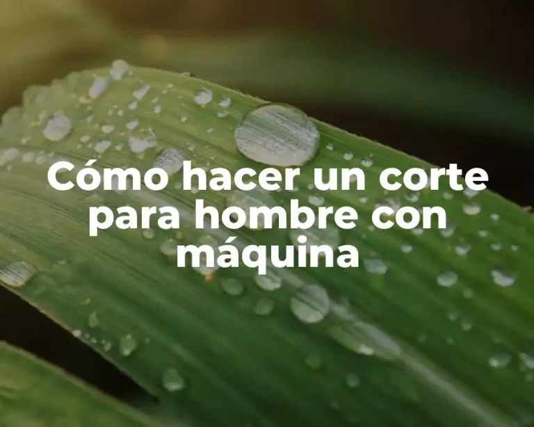Cómo hacer un corte para hombre con máquina