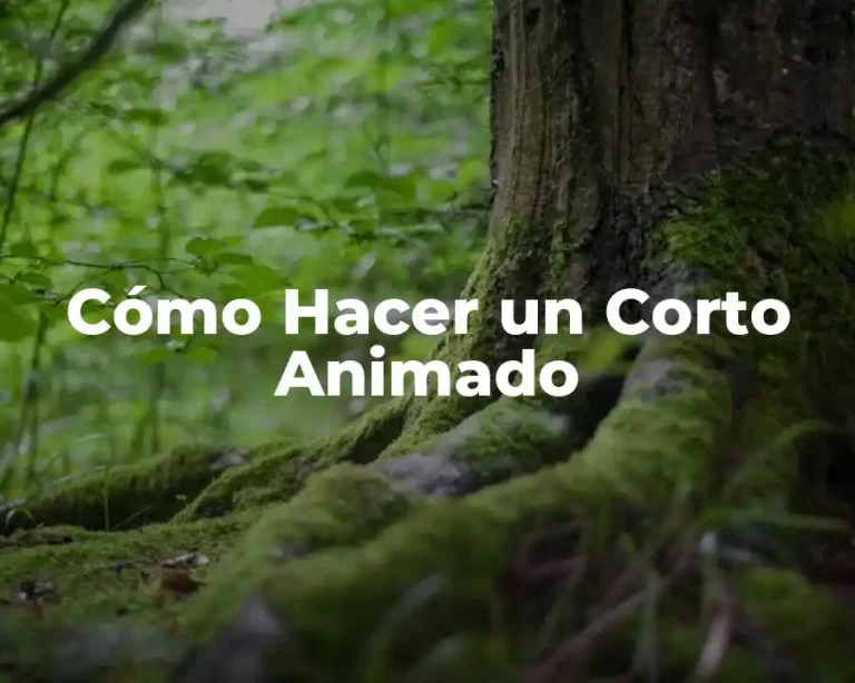 Cómo Hacer un Corto Animado