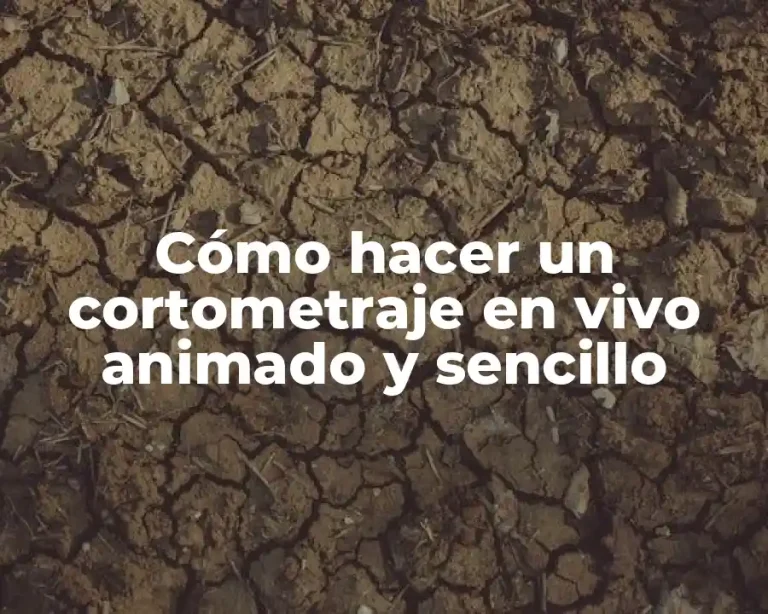Cómo hacer un cortometraje en vivo animado y sencillo