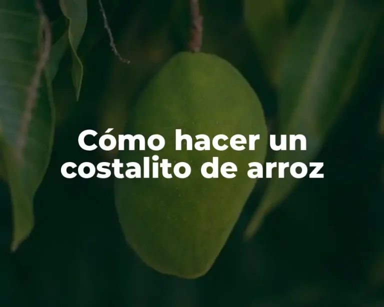 Cómo hacer un costalito de arroz