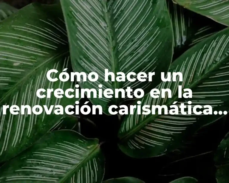 Cómo hacer un crecimiento en la renovación carismática en Argentina