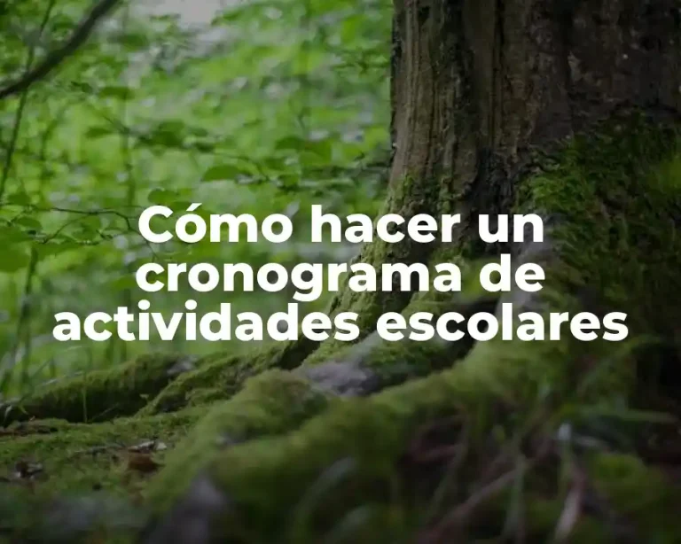 Cómo hacer un cronograma de actividades escolares